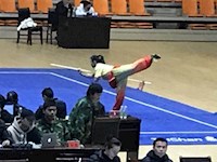 我校武术队在2018年湖南省青少年武术锦标赛中获佳绩