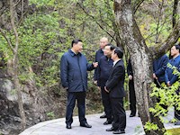 习近平：扎实做好“六稳”工作落实“六保”任务 奋力谱写陕西新时代追赶超越新篇章