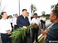 习近平赴湖南考察调研
