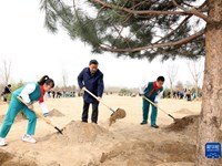 习近平参加首都义务植树活动