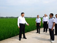 习近平在四川眉山市考察调研