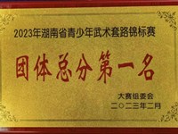 喜报：我校武术队在2023年湖南省青少年武术锦标赛中斩获12枚金牌