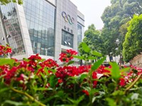 相约地质 共赴未来——银河国际2023级新高一德育团队介绍