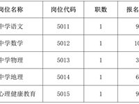 银河国际2024年第二轮公开招聘教职工报名情况的公告